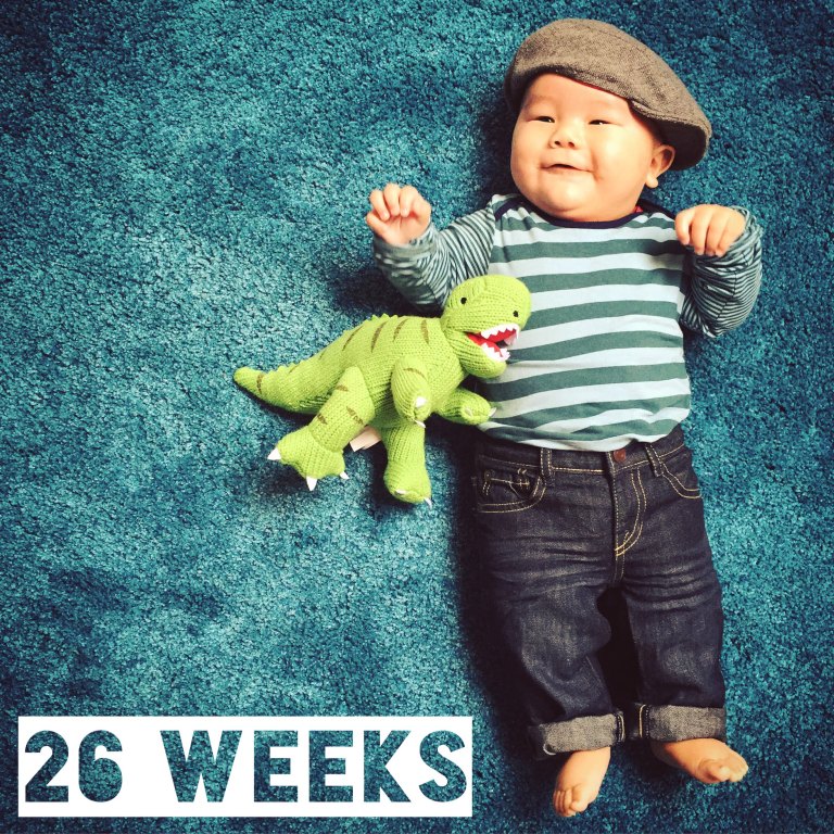 26-weeks-old_22406264826_o